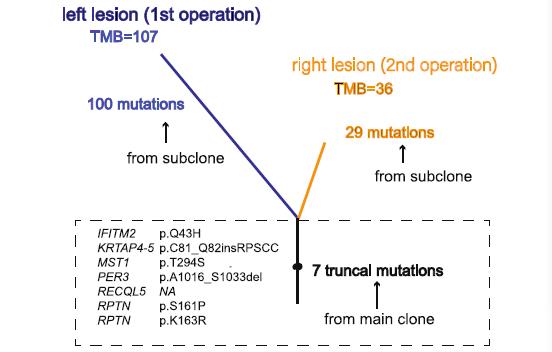 星闻丨领星携手中山一院金华伟教授团队探索中枢神经系统罗道病