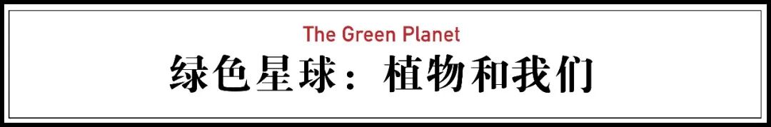 96岁还在奔波工作，这老爷子做出了今年9.8分神片
