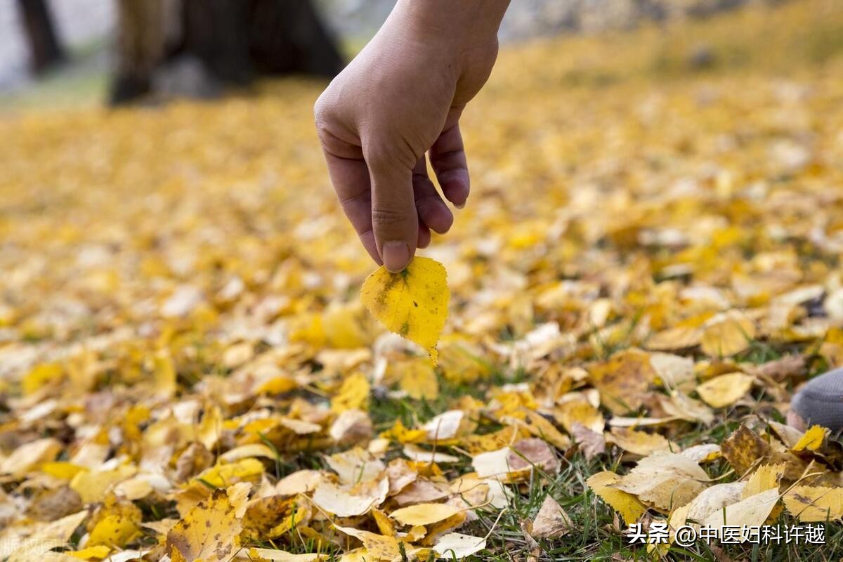 想要一个好宝宝,想要一个健康的孩子怎么办