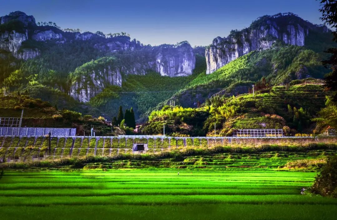 你听过但不一定知道歌手的歌,你听过但不一定看过原版视频