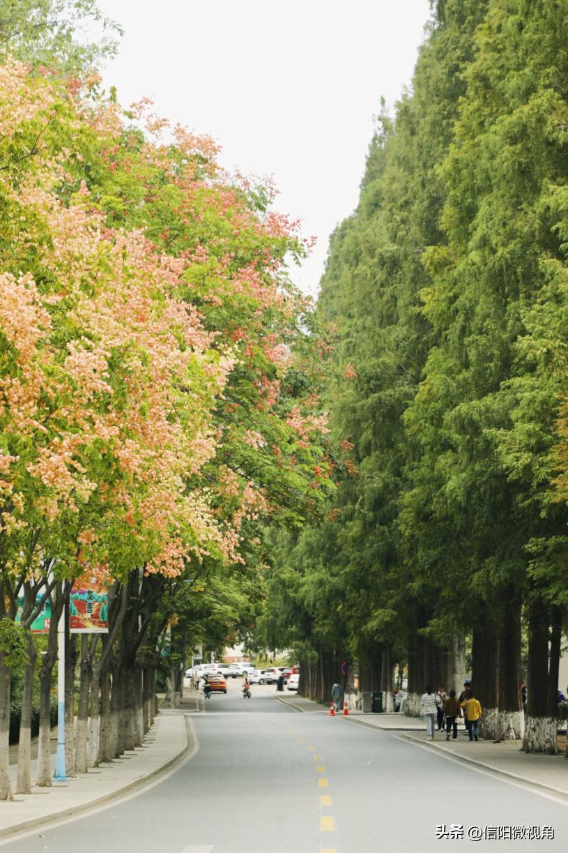 信阳师范大学：建设高水平师范大学，我们始终在路上