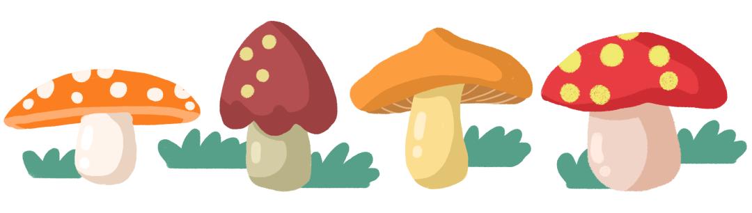 预防野生菌野果中毒,如何安全食用野生菌