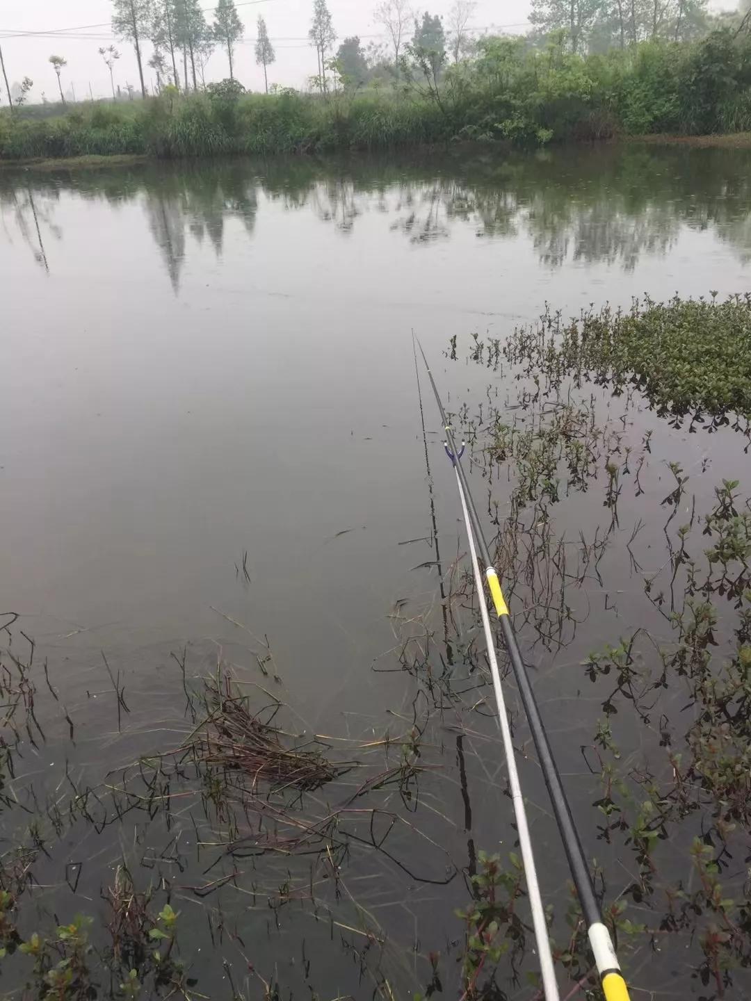 细短鱼竿推荐,鱼竿推荐细硬峰