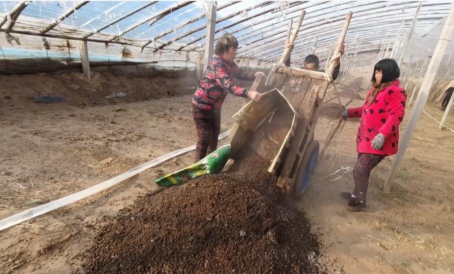 种蔬菜施鸡粪肥方法,蔬菜怎么施饼肥