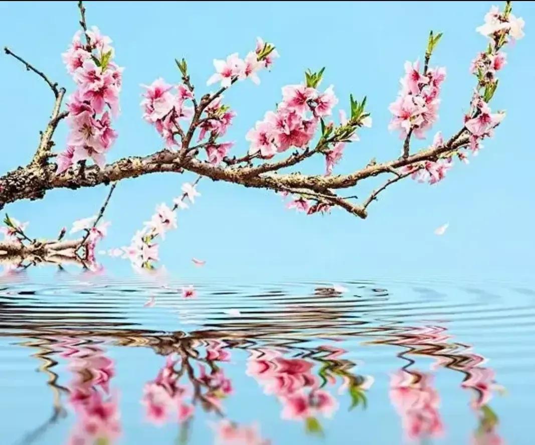 秒懂企业目标规划