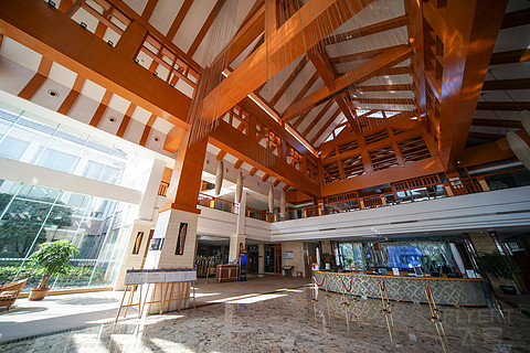 飞雪迎春山花烂漫,飞雪迎春绽玉蕊