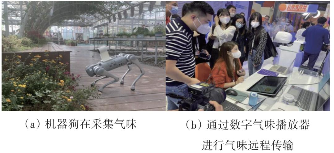 2022年扩展现实(XR)热点回眸|科技导报