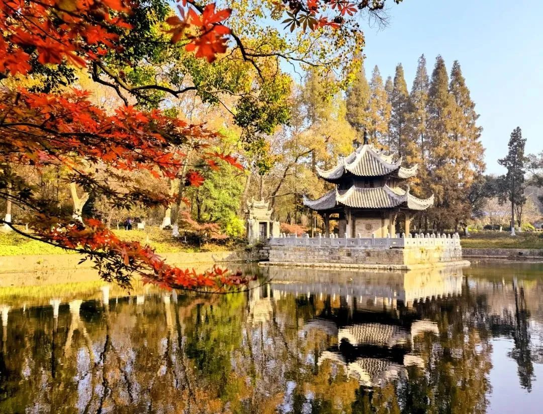 江湖文化城自由行热门攻略,江湖行游玩攻略