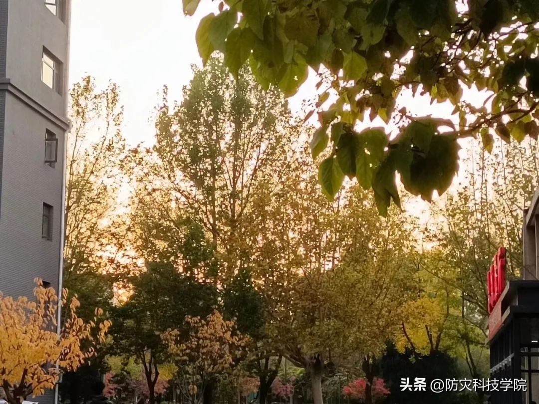 快看！当防灾遇上输入法