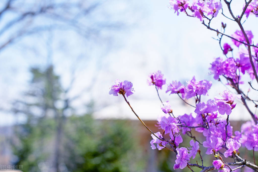 独处可以做的70件小事,独处让你悄悄逆袭