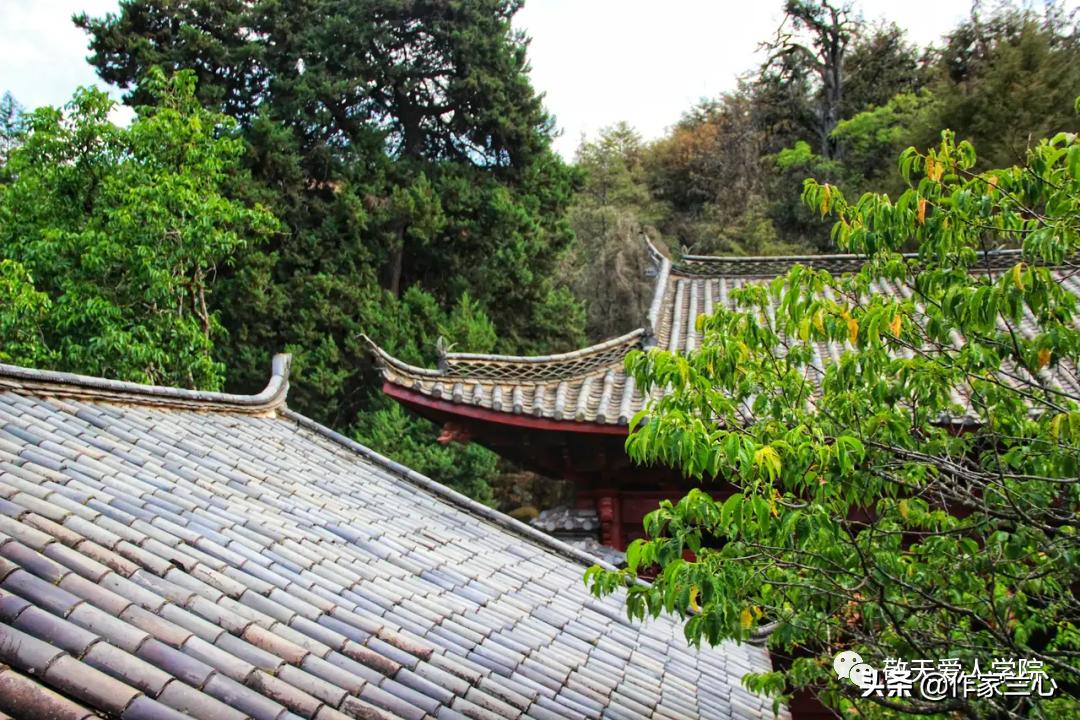 万一龙：以高维智慧，布世间大爱