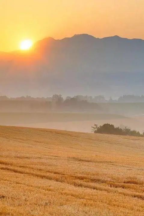 天格实木地板简约风格,大自然原木风地板推荐