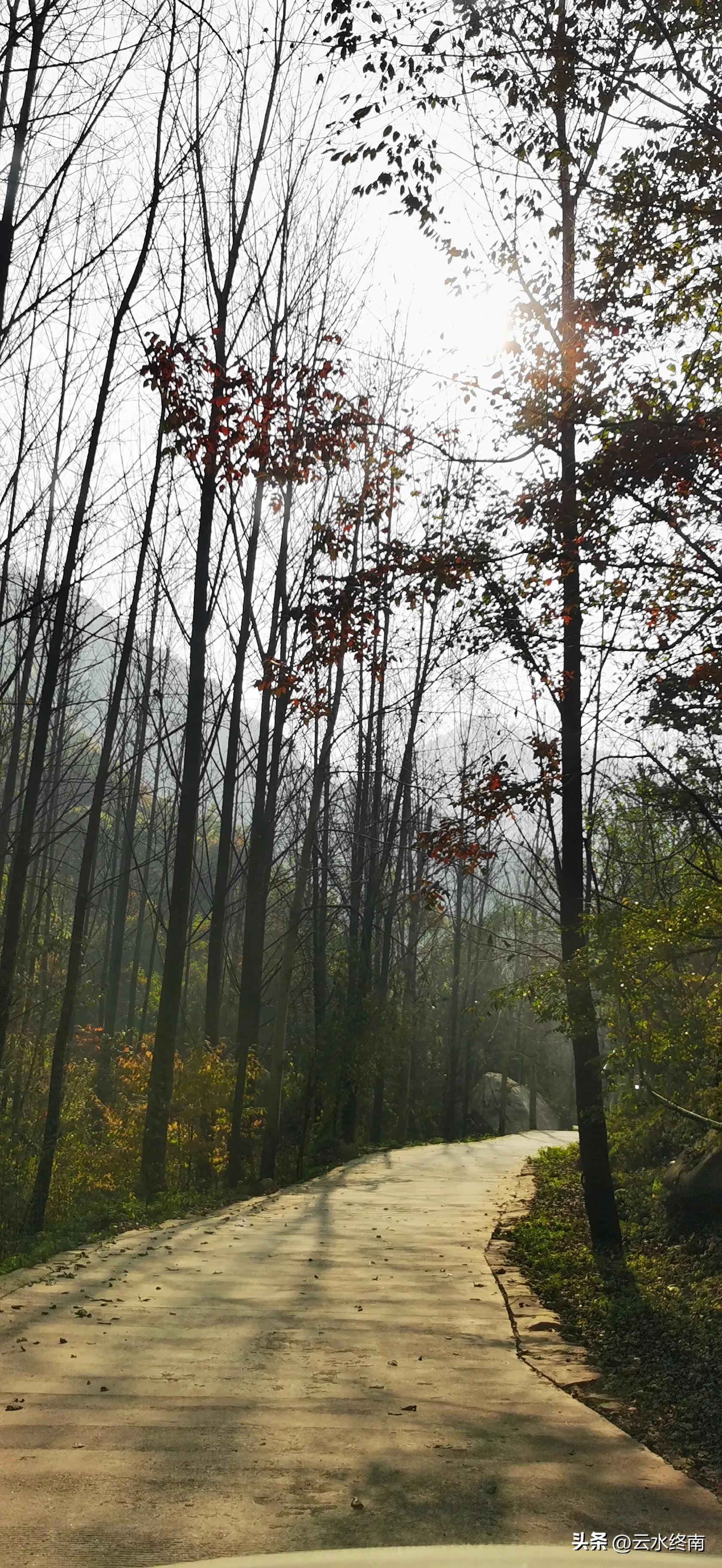 享个清福！到少有人知的峙峪看看漫山红叶，喝喝住山人清茶