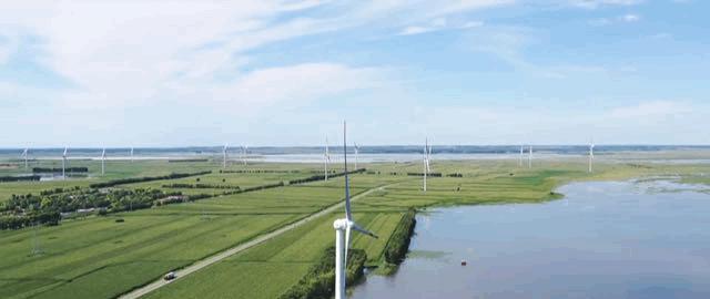 新能源产业崛起助推经济绿色转型,新能源生态环保项目