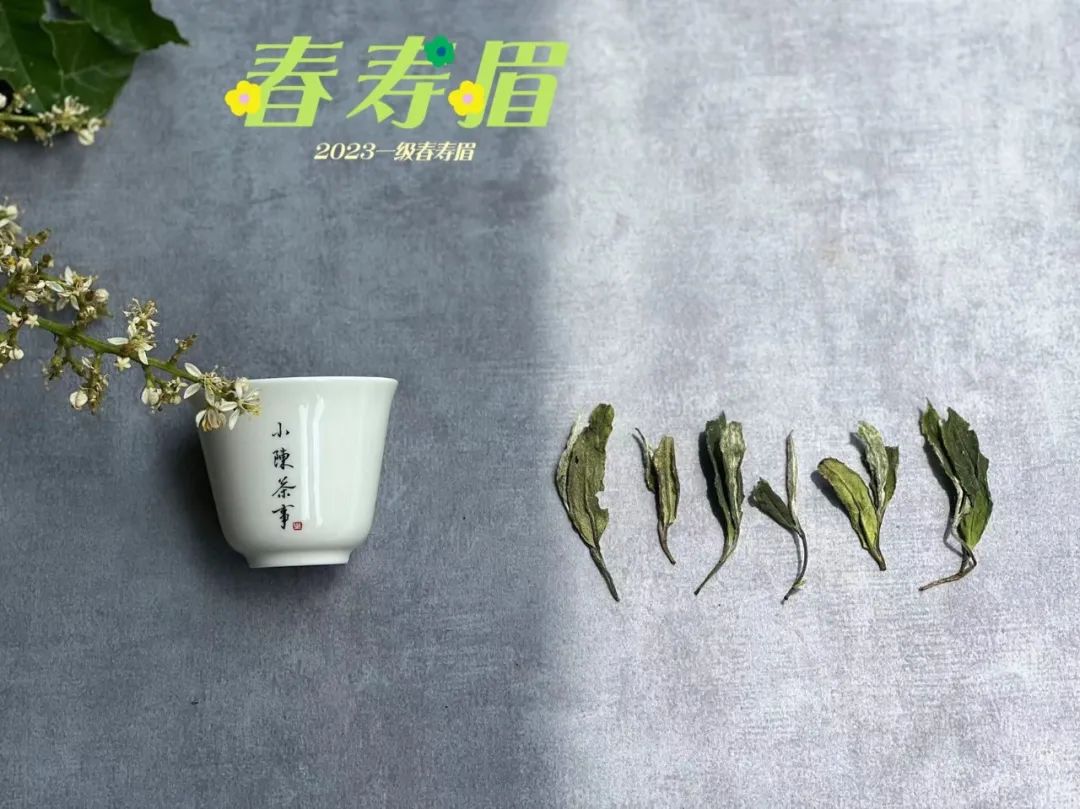 白茶寿眉好喝还是银针好喝,白茶寿眉和白毫银针