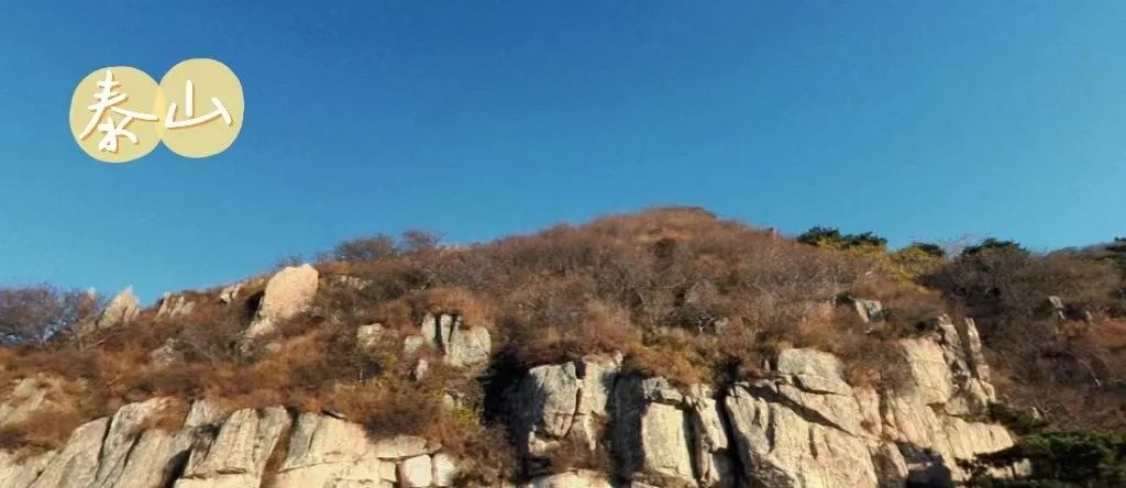 走进齐鲁,走进山东泰山