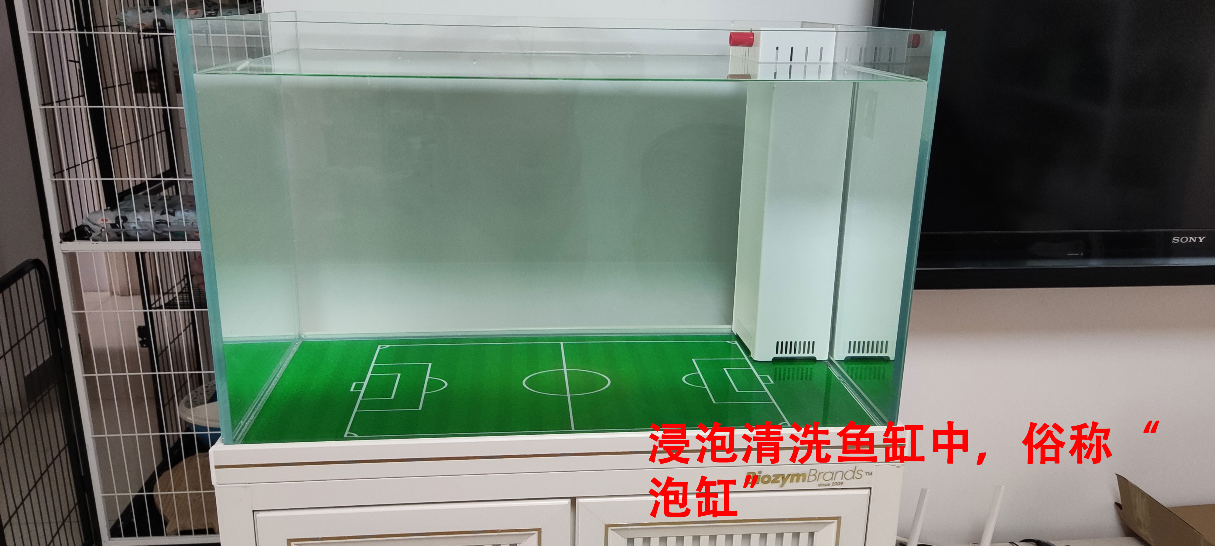 养鱼一定要开缸吗,新手养鱼开缸教程合集