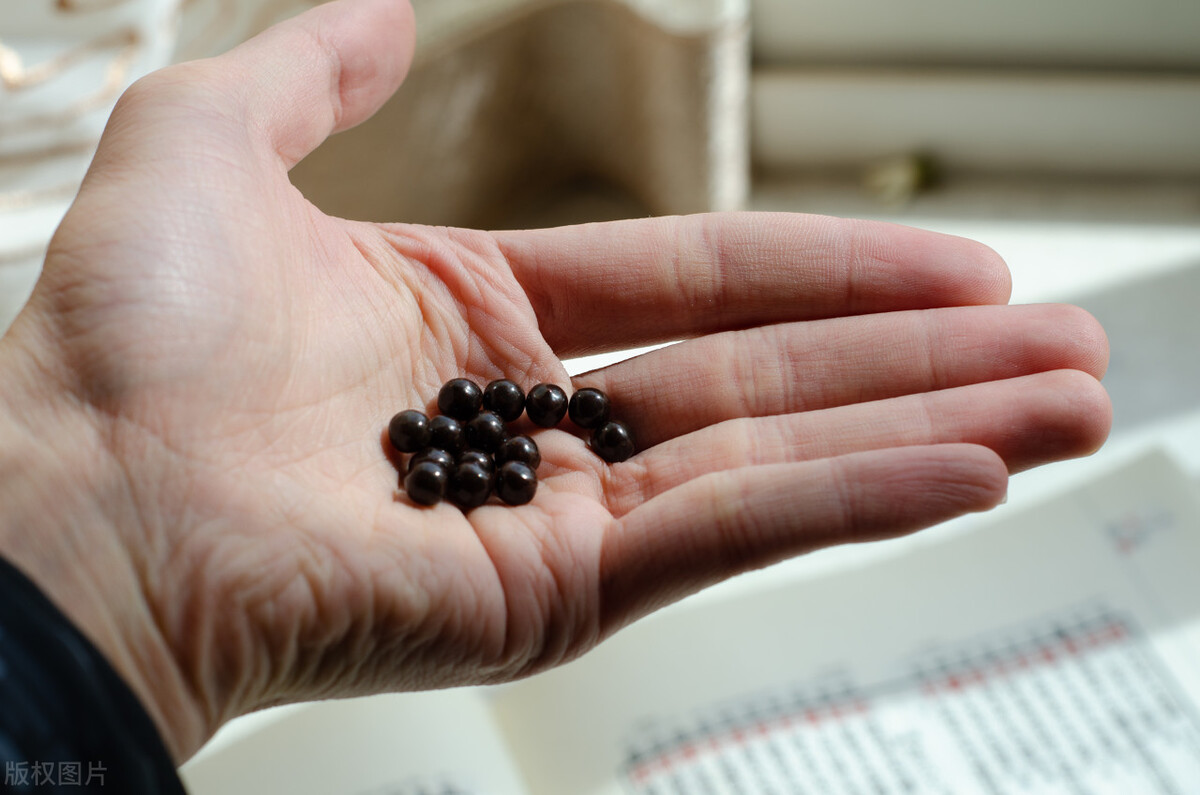 肝脾肾同补又能补气的中成药,补脾的药有哪些