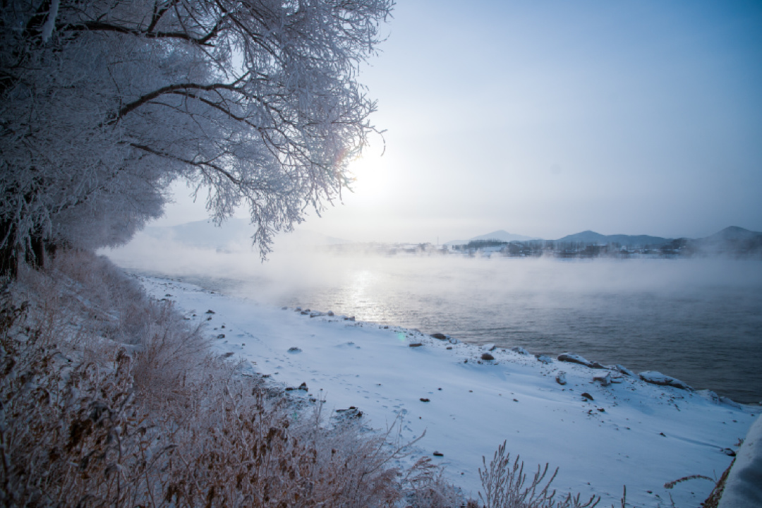 漫看四五卷，清煮梅花香！冬天到底有多美？诗词会给你答案