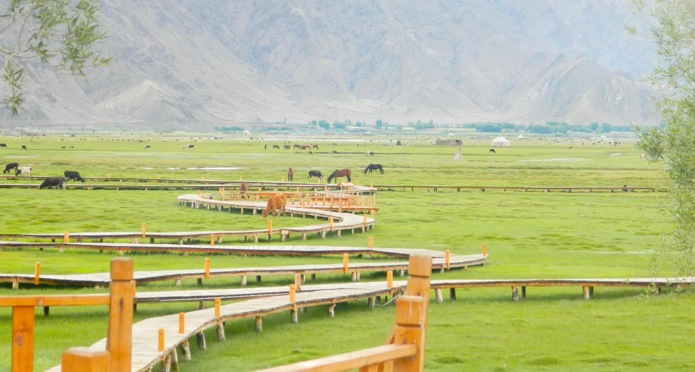 三昧水忏女声读诵上中下,三昧水忏唱诵