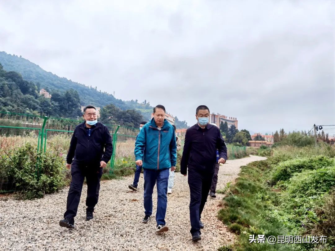 滇池绿道环草海段工程,滇池绿道环草海工作进展情况