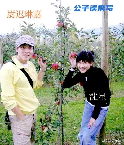 一张和冯小刚的“夜宿门”照片，彻底撕下了沈星的遮羞布