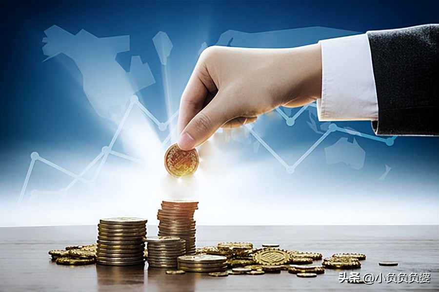 鐧藉珫琛屼笟,鐧藉珫璧氶挶椤圭洰