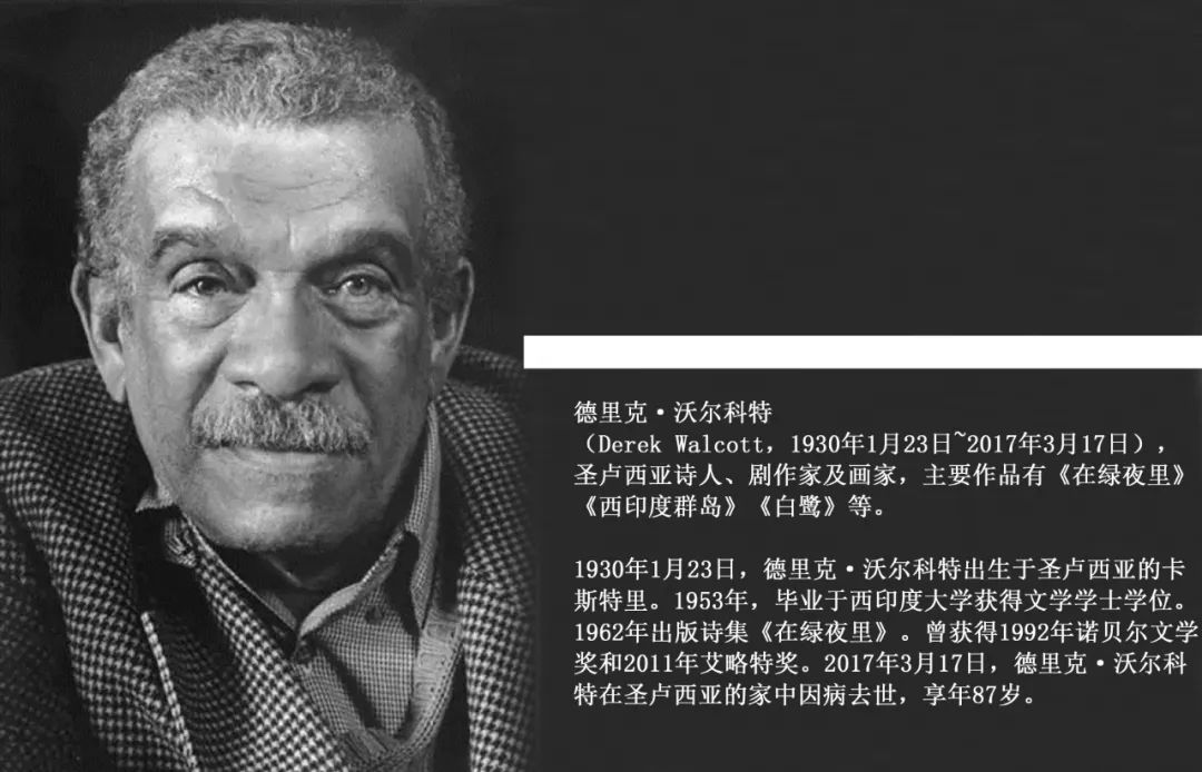 获得诺贝尔文学奖的作者和作品,诺贝尔文学奖作家作品总结