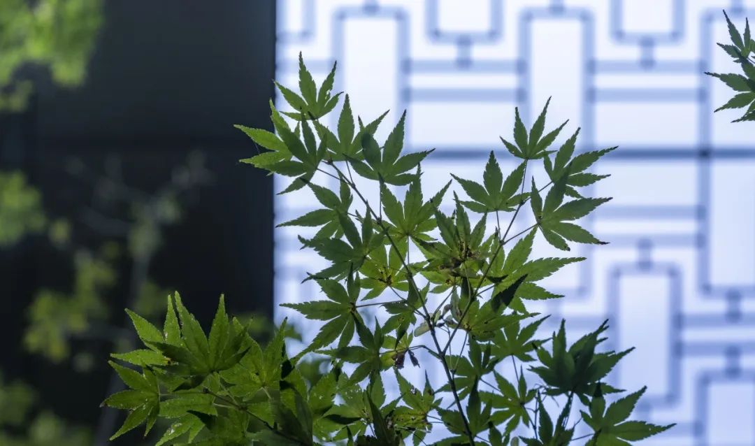 温州万科翡翠天地翡玉园,温州万科翡翠天地二手房