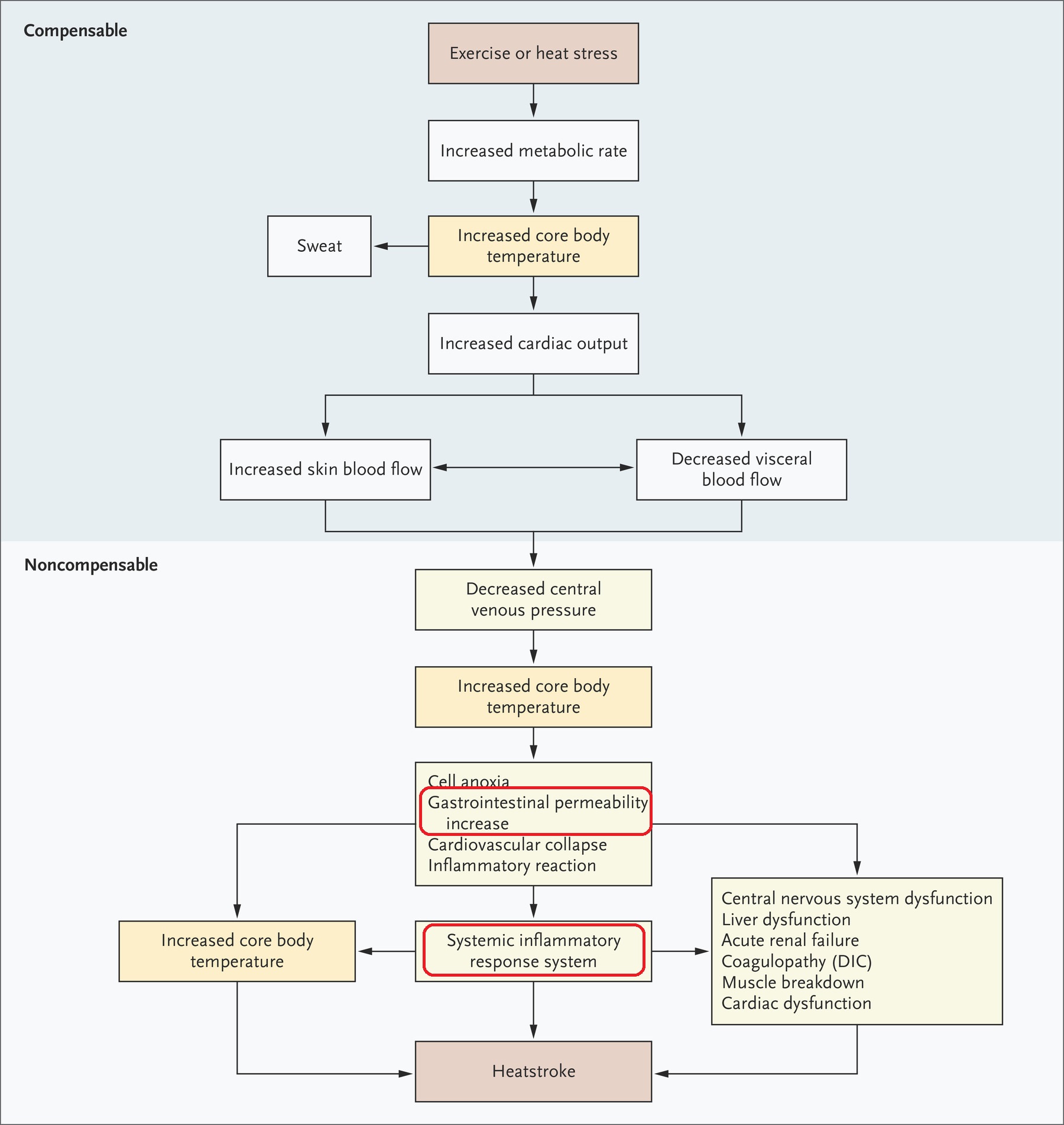 热射病是中暑最严重的一种吗,热射病和中暑是一回事吗