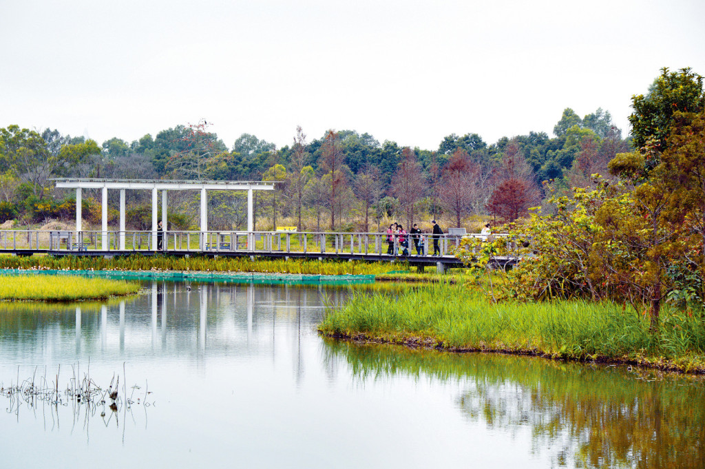 庆祝香港回归25周年高铁站,庆祝香港回归祖国25周年新闻