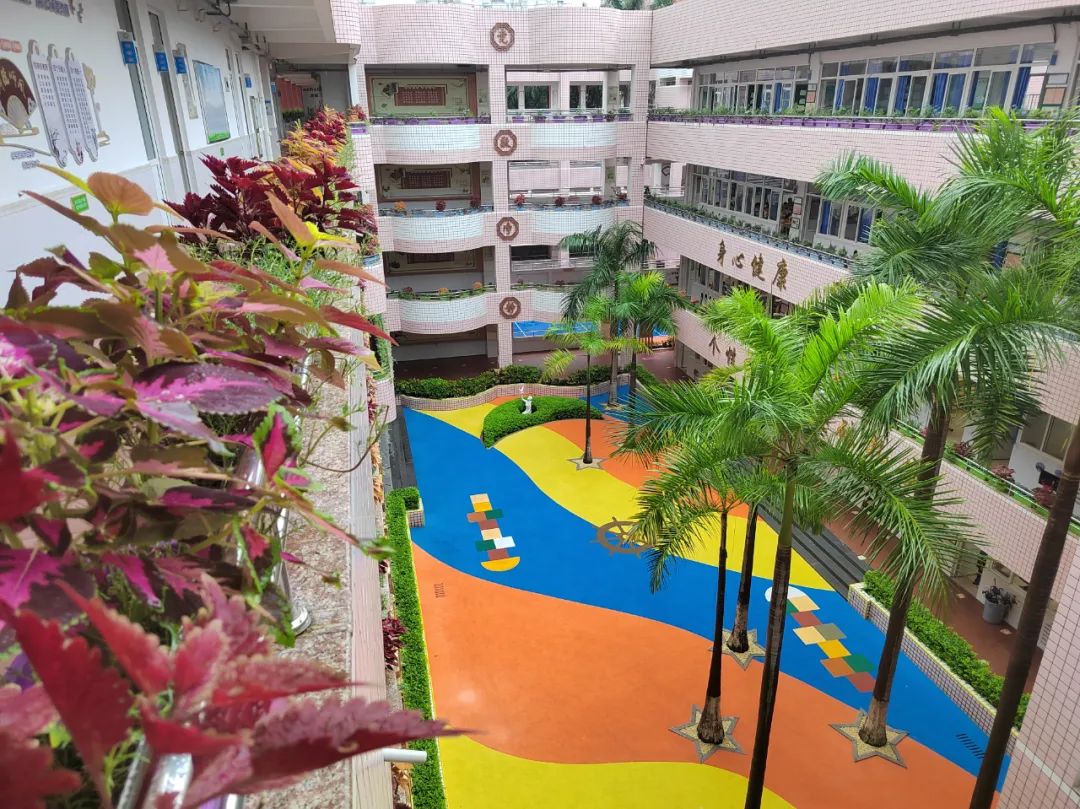 宁宝小学特色,校长带您逛校园