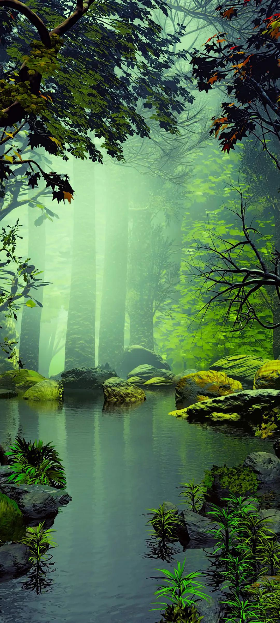 小众风格的壁纸,花园各种花大图壁纸