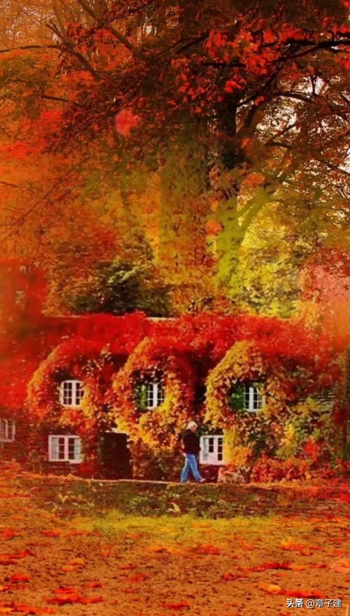 一组词|《云摇柳》《传香》《话别》《弦上桃花》《如斯》等