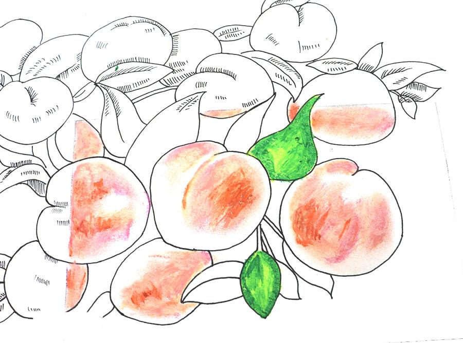 桃子精解说,桃子精万岁