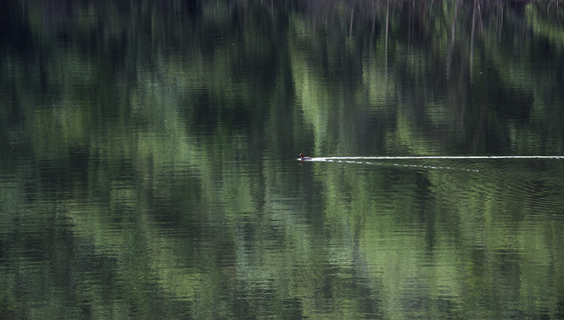 永泰云顶天池,永泰云顶天池门票