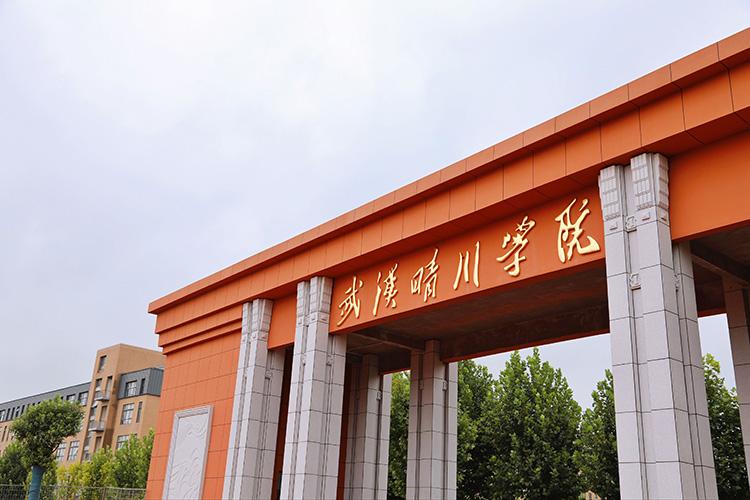 武汉晴川学院2023年专升本报录比,武汉晴川学院专升本2024年考什么