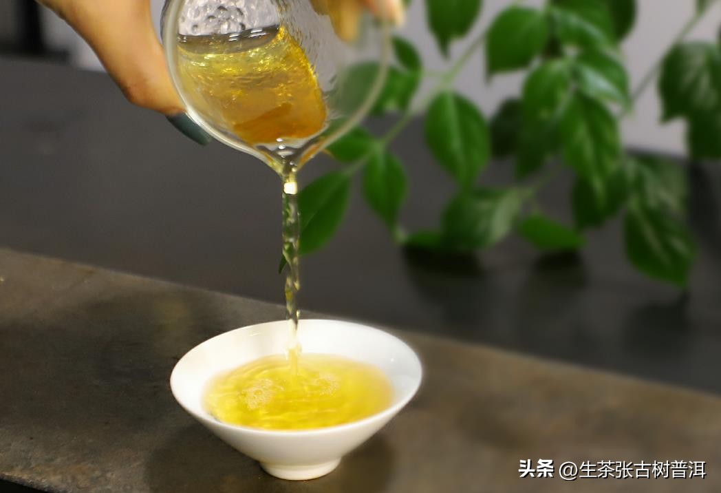 选购普洱熟茶茶叶,普洱茶该怎么选购