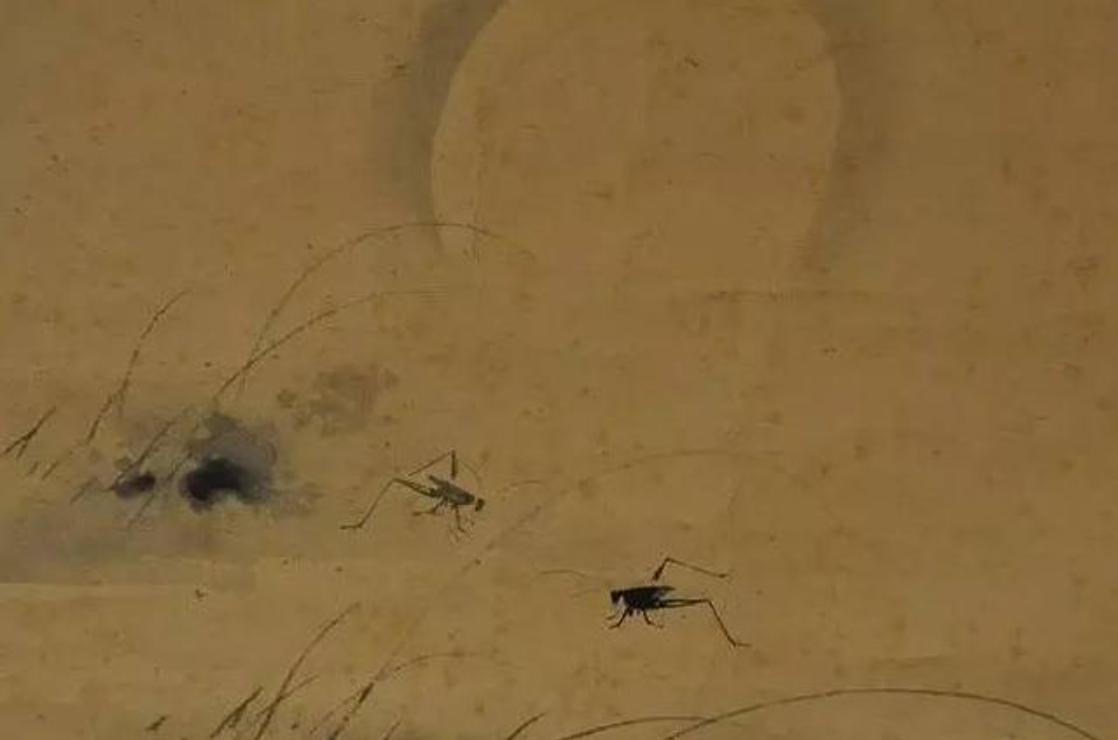 山东小古镇蟋蟀卖出3个亿,山东蟋蟀农村交易