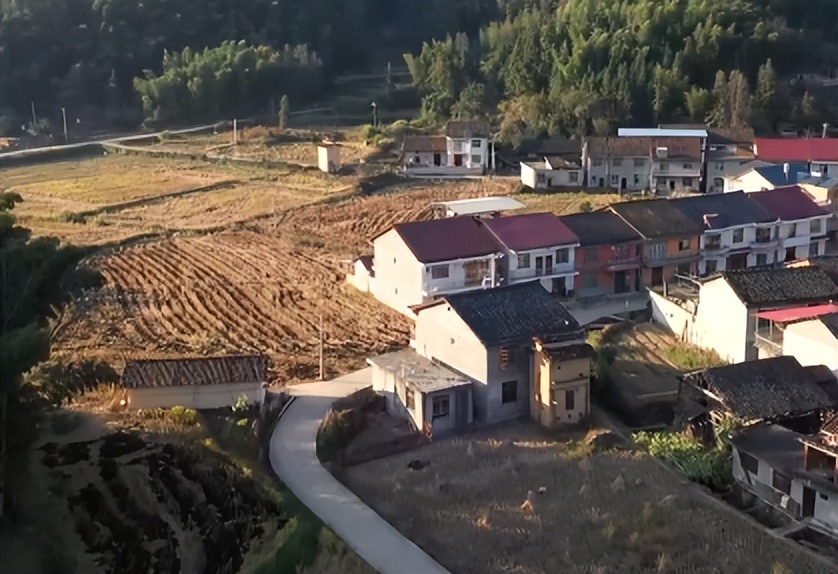 小伙创业一亩田养鱼能挣多少钱,年赚600万的稻田养鱼