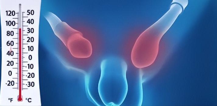 夺命鞋,央视曝光的夺命鞋有哪些