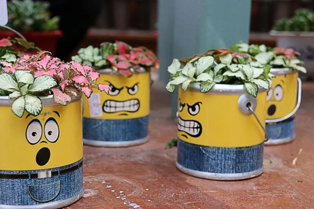 “敲门”别再说“knockthedoor”,老外听了可能要报警!