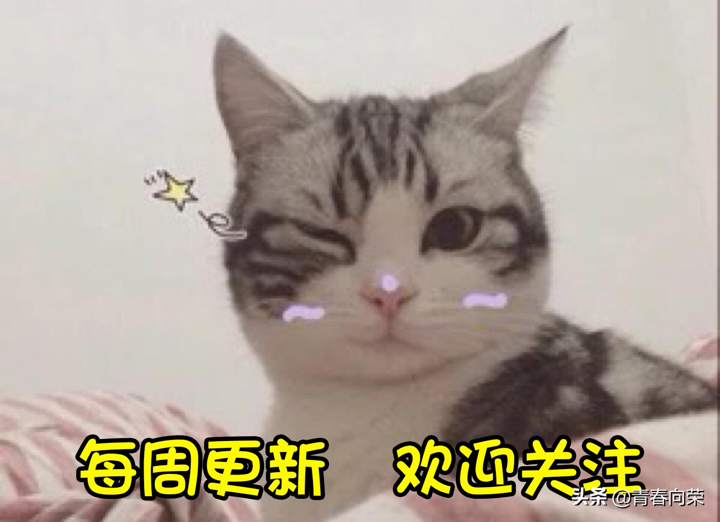 楂橀鍊奸珮璇勫垎闈掓槬缇庡墽,楂樺垎闈掓槬缇庡墽鎺ㄨ崘