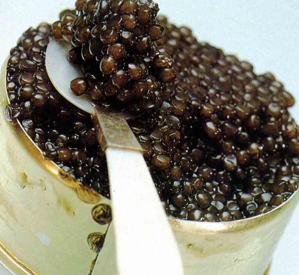 鲟鱼产的鱼子酱,中国的鲟鱼产鱼子酱吗