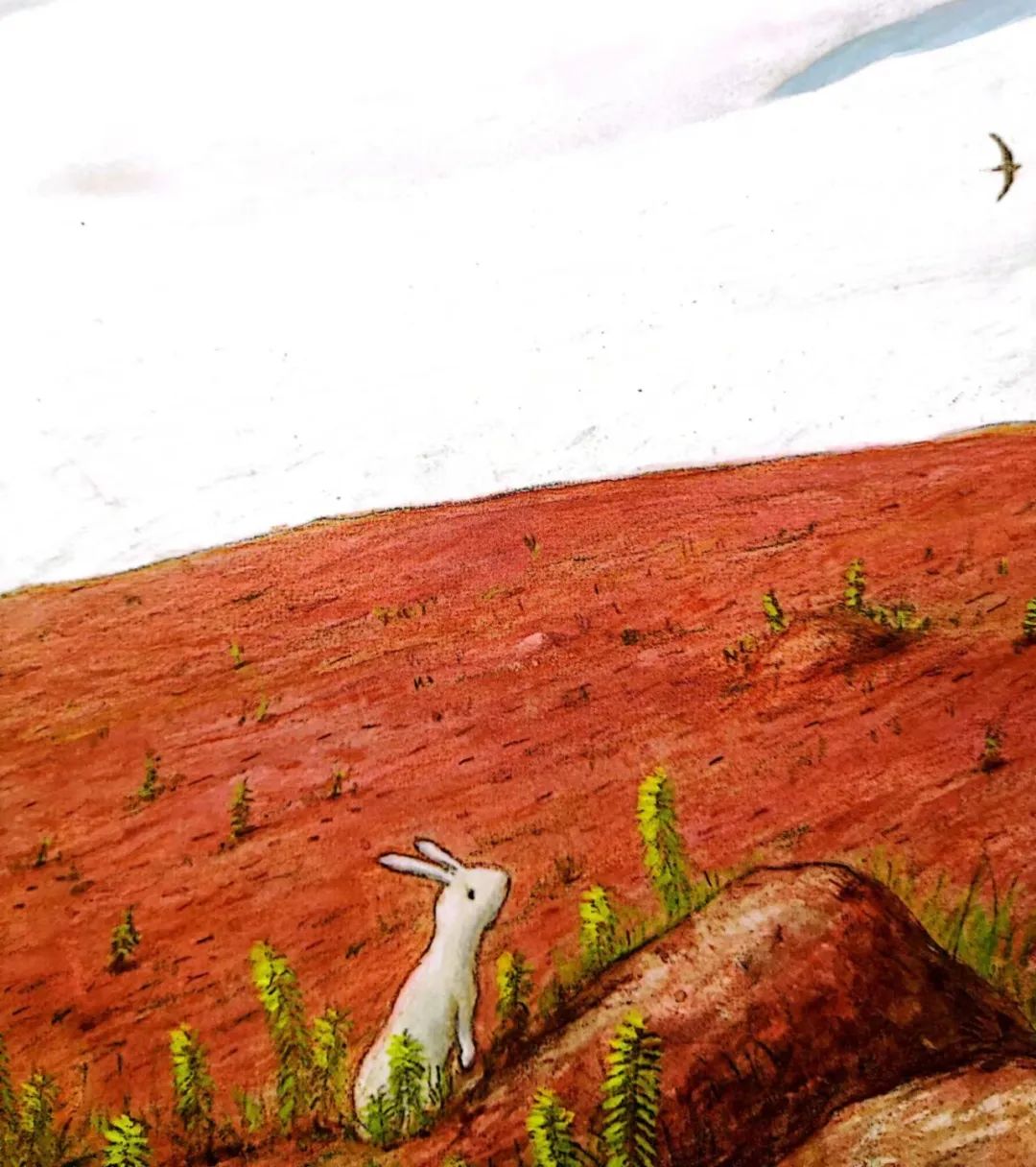 散步绘本小熊,散步疗愈电子书