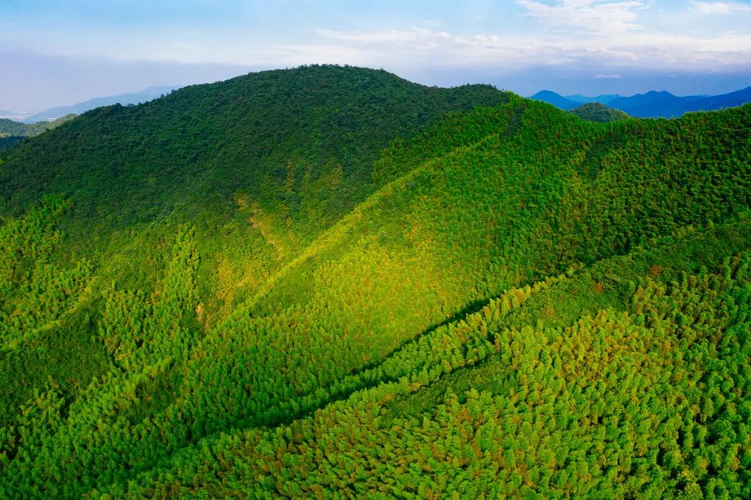 莫干山民宿天花板体验之旅,藏在莫干山间的民宿真的太美了