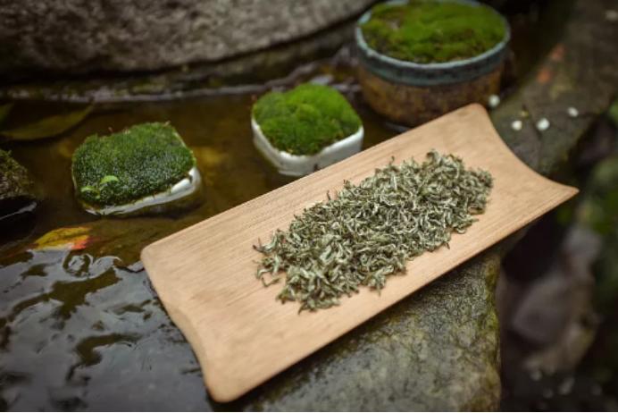 每天以茶代水会导致哪些疾病,每天以茶代水