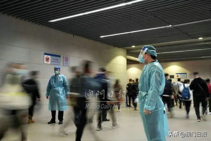 粤港澳警方联合打击走私,珠澳两地联手破走私案