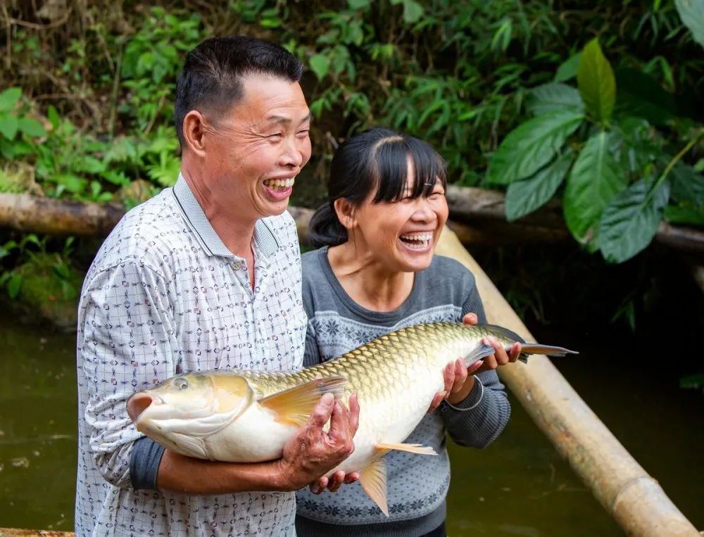 广西博白县龙潭镇酸白椒,广西博白客家美食
