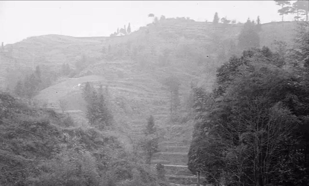 湘西剿匪记四十七军牺牲了多少人,47军湘西剿匪真实史料